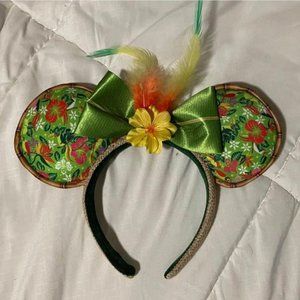 Disney Parks ears
